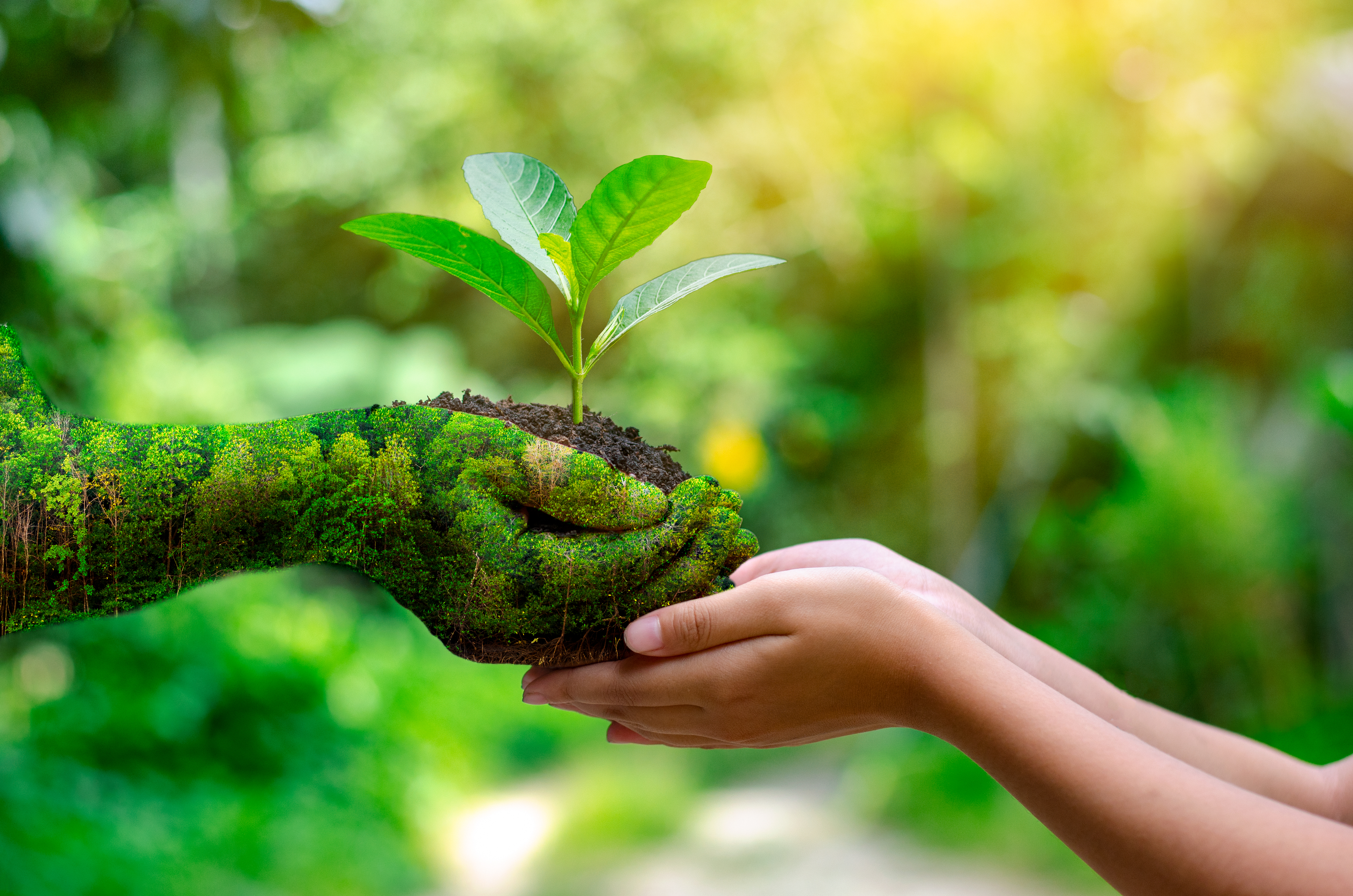 Natural and biological sciences